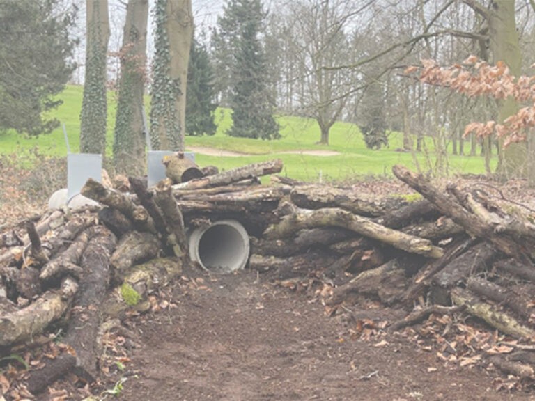 Ihre Jagdschule in NRW Kretzschmer Jagdausbildung